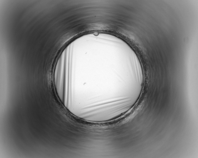 X0000094331073200711301224