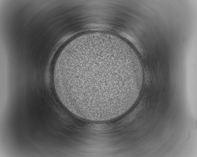 X0000094331074200711301224