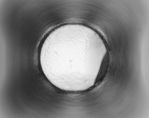 X0000094331075200711301224