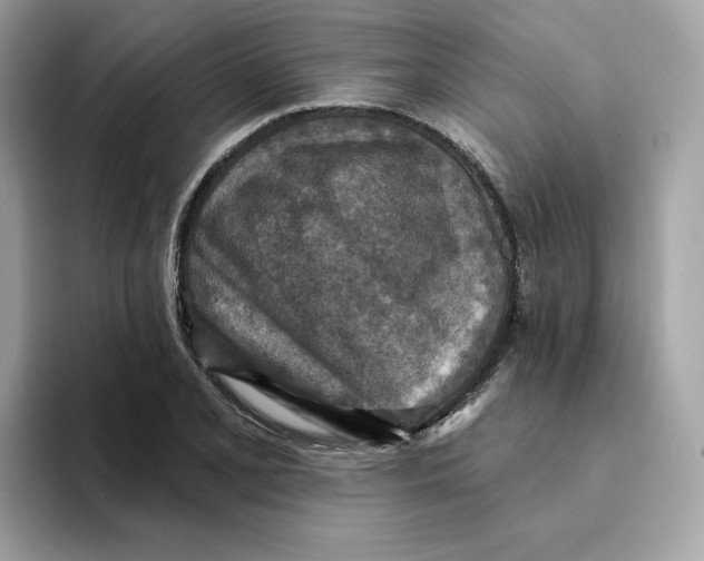 X0000094331077200711301224