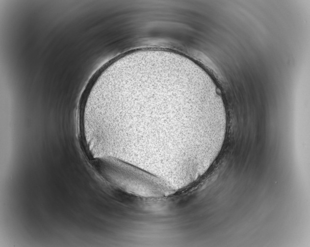 X0000094331079200711301224