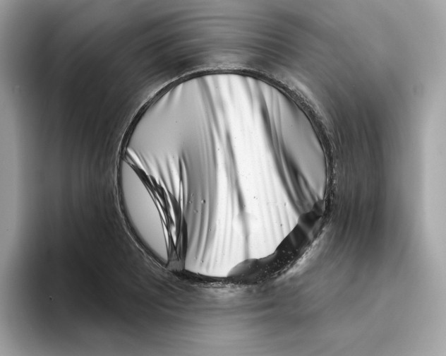 X0000094331081200711301224