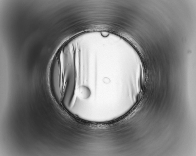 X0000094331083200711301224