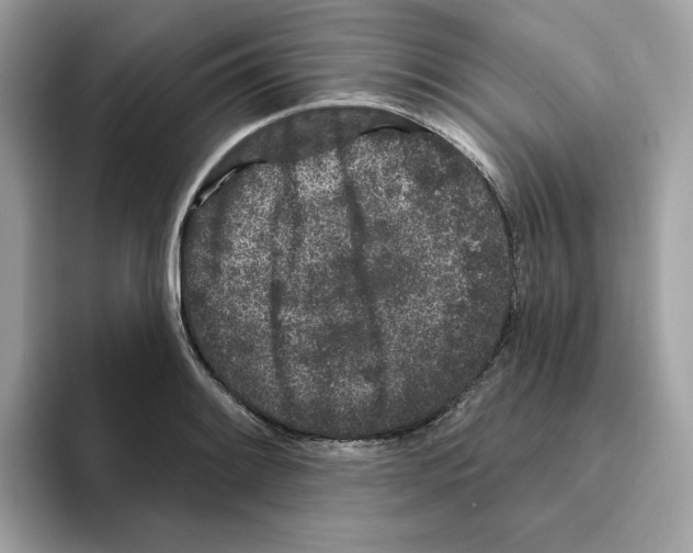 X0000094331084200711301224