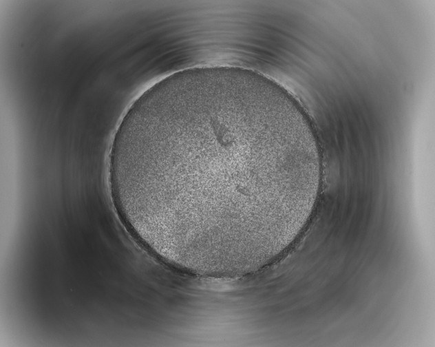 X0000094331086200711301223