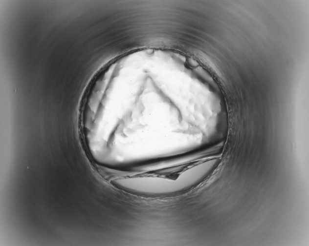 X0000094331087200711301223