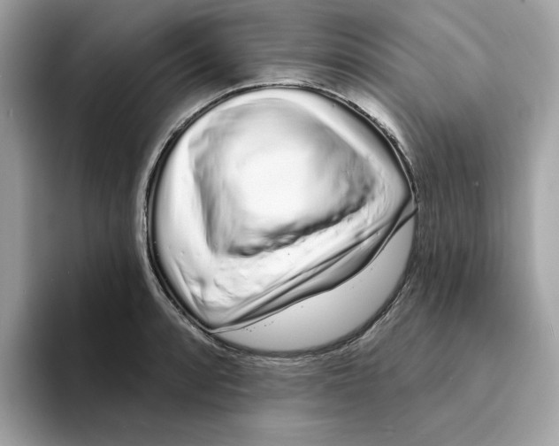 X0000094331088200711301223