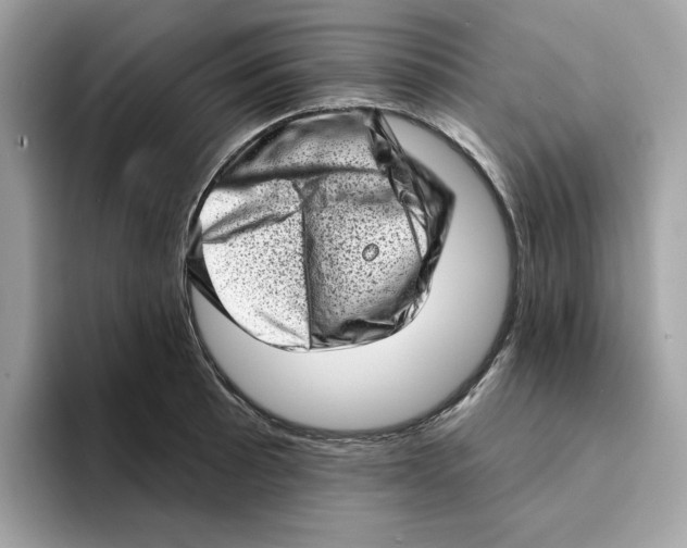 X0000094331089200711301223