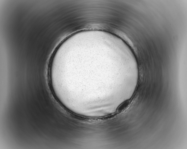 X0000094331091200711301223