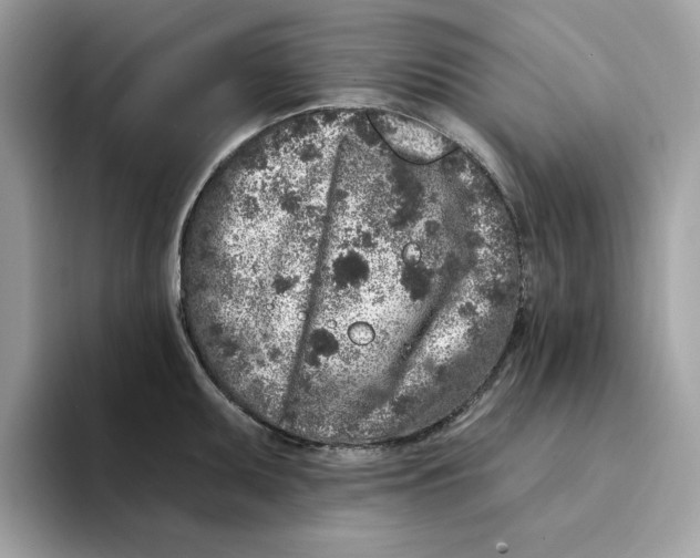 X0000094331095200711301223