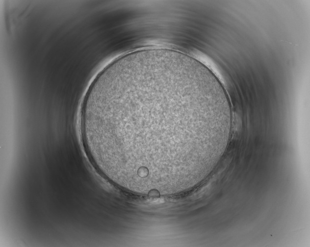 X0000094331098200711301223