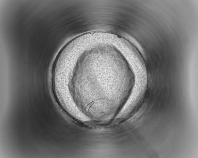 X0000094331099200711301223