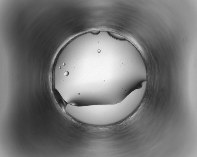 X0000094331100200711301223