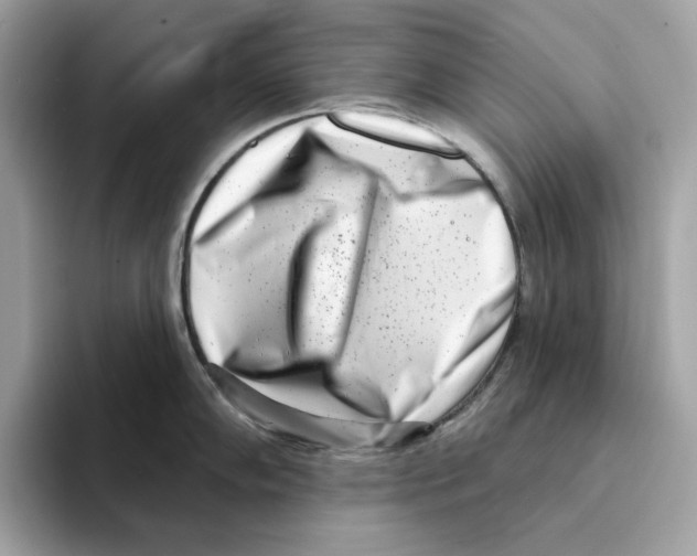 X0000094331102200711301223