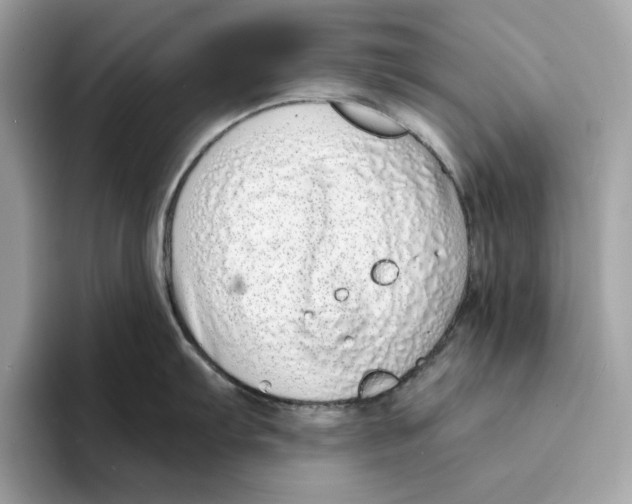 X0000094331103200711301223