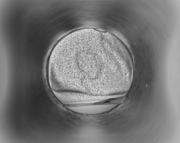 X0000094331104200711301223