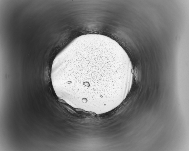 X0000094331107200711301223