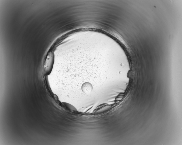 X0000094331116200711301223