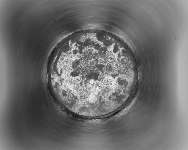 X0000094331117200711301223