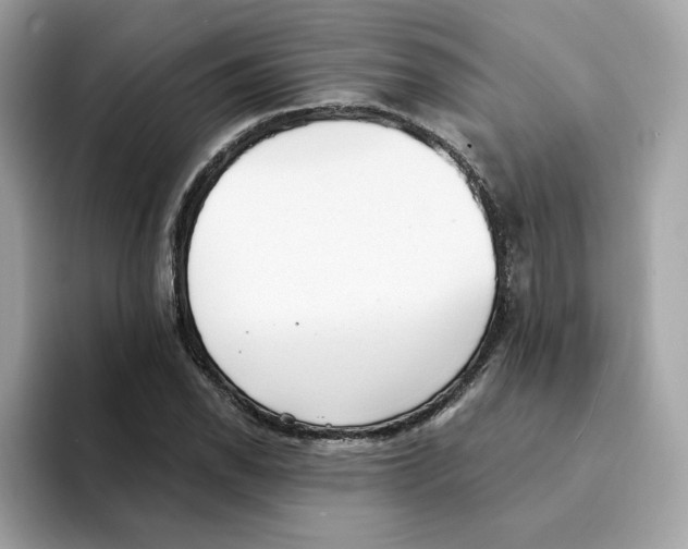 X0000094331118200711301223