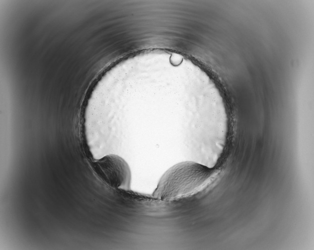 X0000094331121200711301223