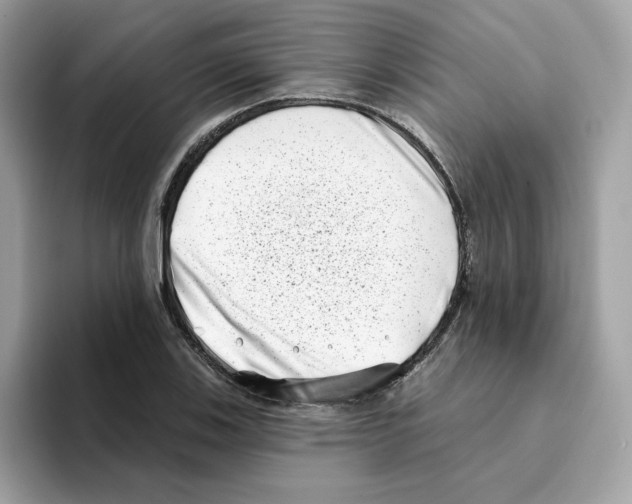 X0000094331123200711301223