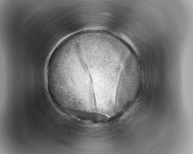 X0000094331124200711301223