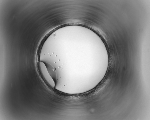 X0000094331125200711301223