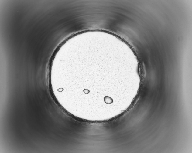 X0000094331126200711301223