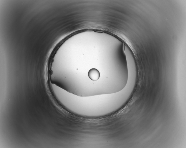 X0000094331128200711301223