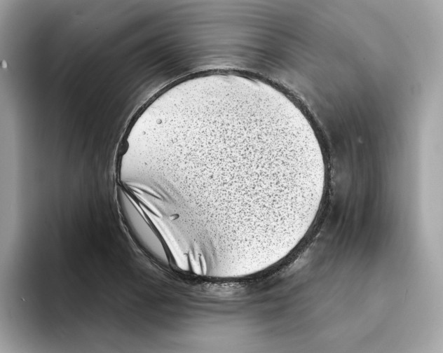 X0000094331129200711301223