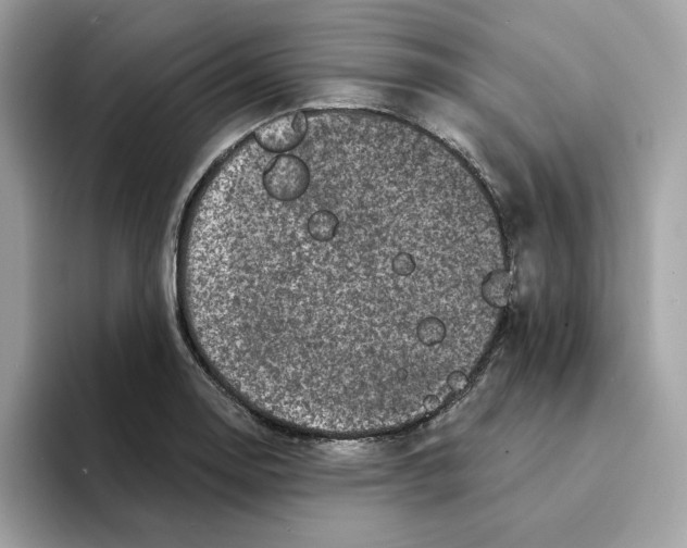 X0000094331130200711301223