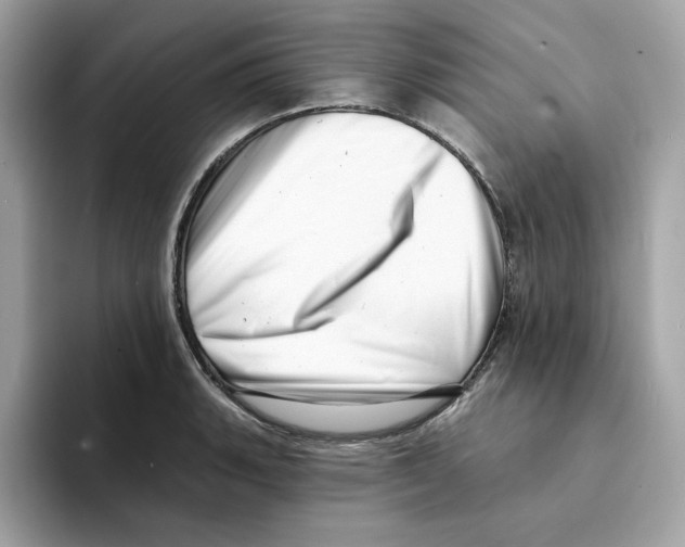 X0000094331135200711301223