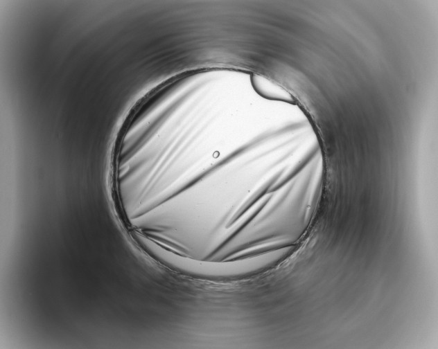 X0000094331136200711301223