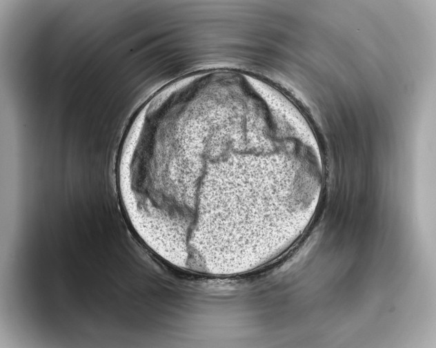 X0000094331137200711301223