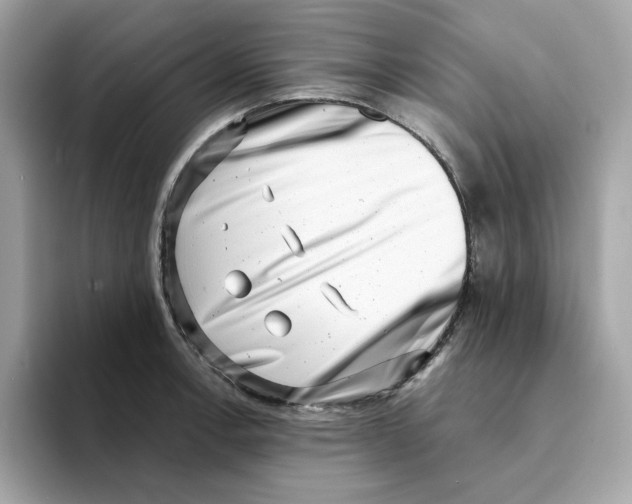 X0000094331138200711301223