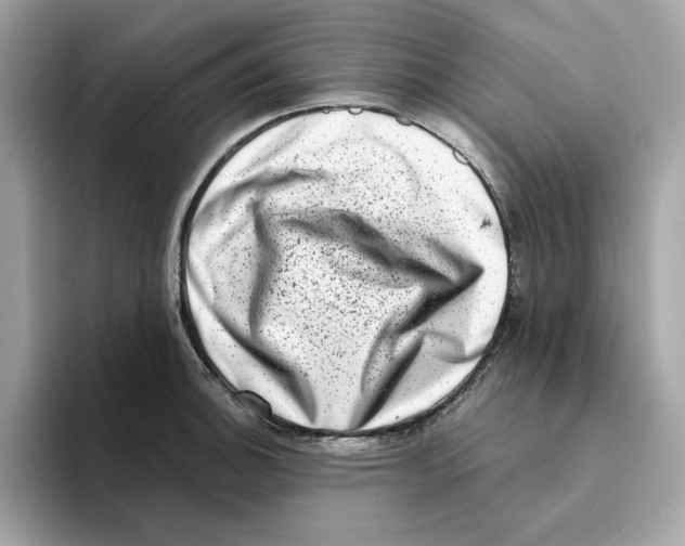 X0000094331140200711301223