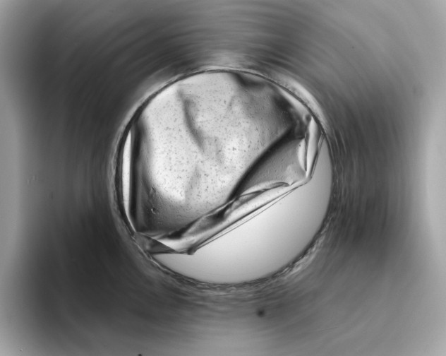 X0000094331146200711301223