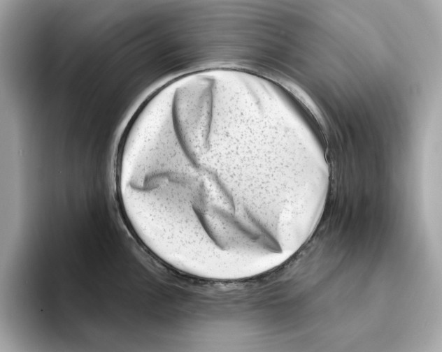 X0000094331148200711301223