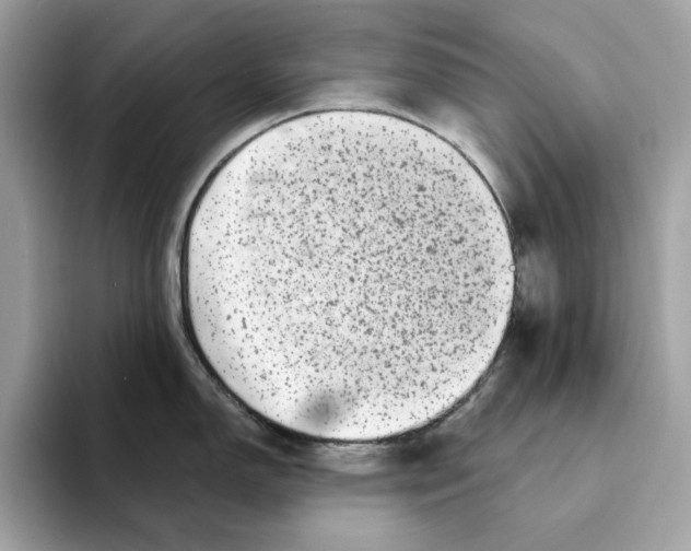 X0000094331150200711301223