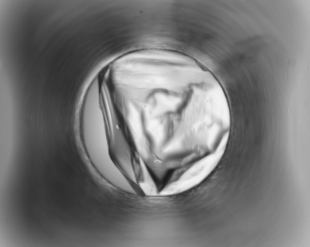 X0000094331152200711301223