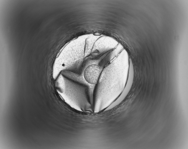 X0000094331153200711301223