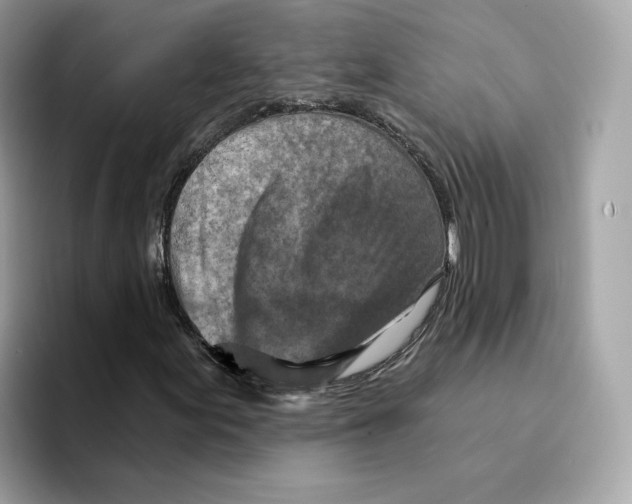 X0000094331155200711301223