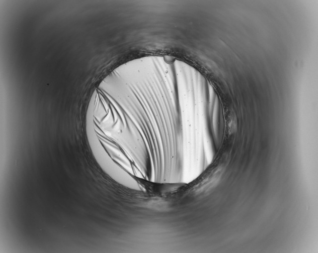 X0000094331156200711301223