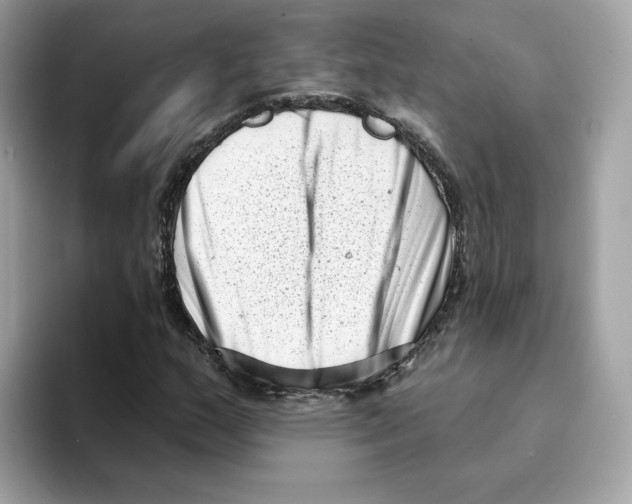 X0000094331159200711301223