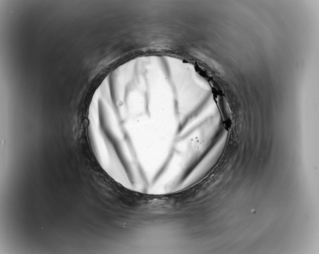 X0000094331160200711301223