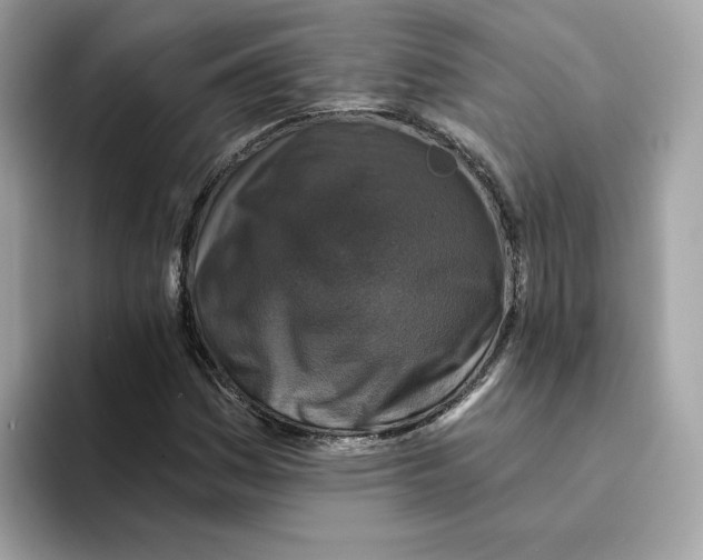 X0000094331161200711301222