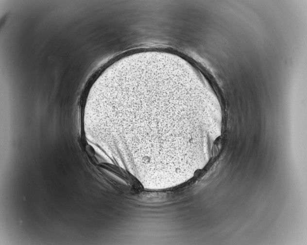 X0000094331171200711301222