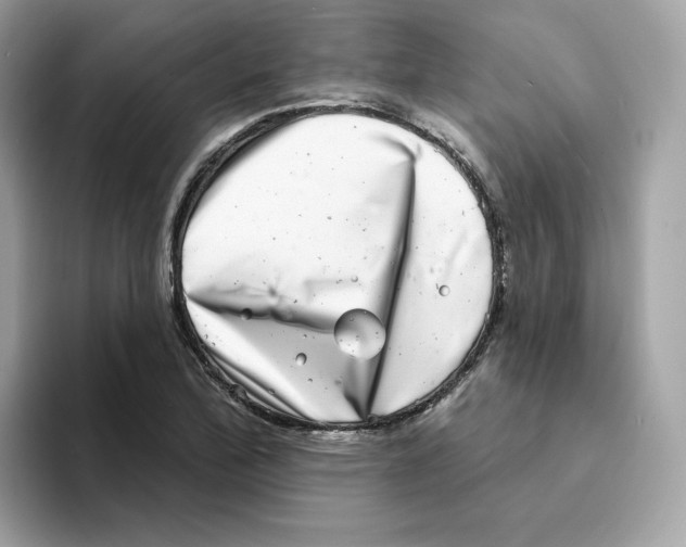 X0000094331172200711301222