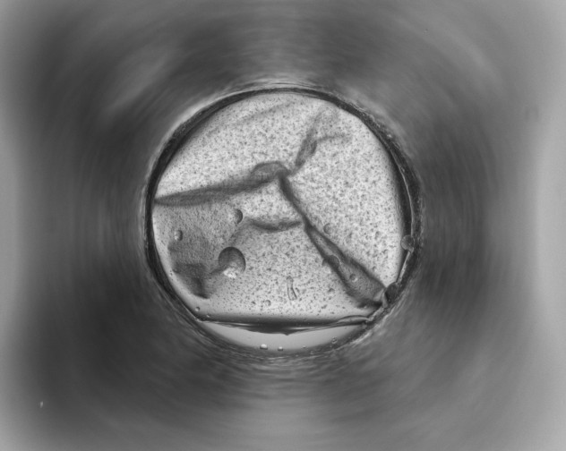 X0000094331174200711301222